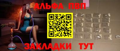 индика Сланцы