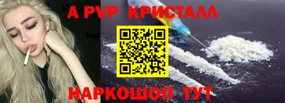 индика Сланцы