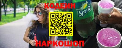 индика Сланцы