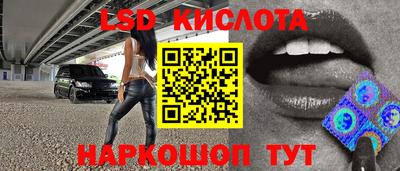 индика Сланцы