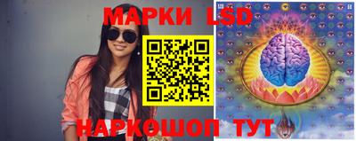 индика Сланцы