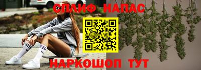 индика Сланцы