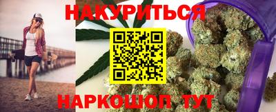 индика Сланцы