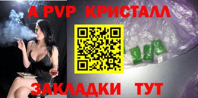 индика Сланцы
