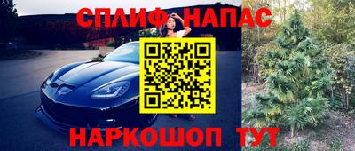 индика Сланцы