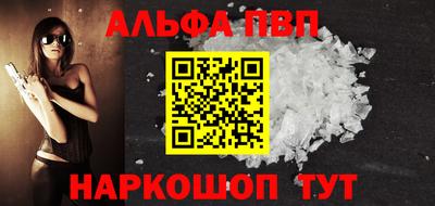 индика Сланцы