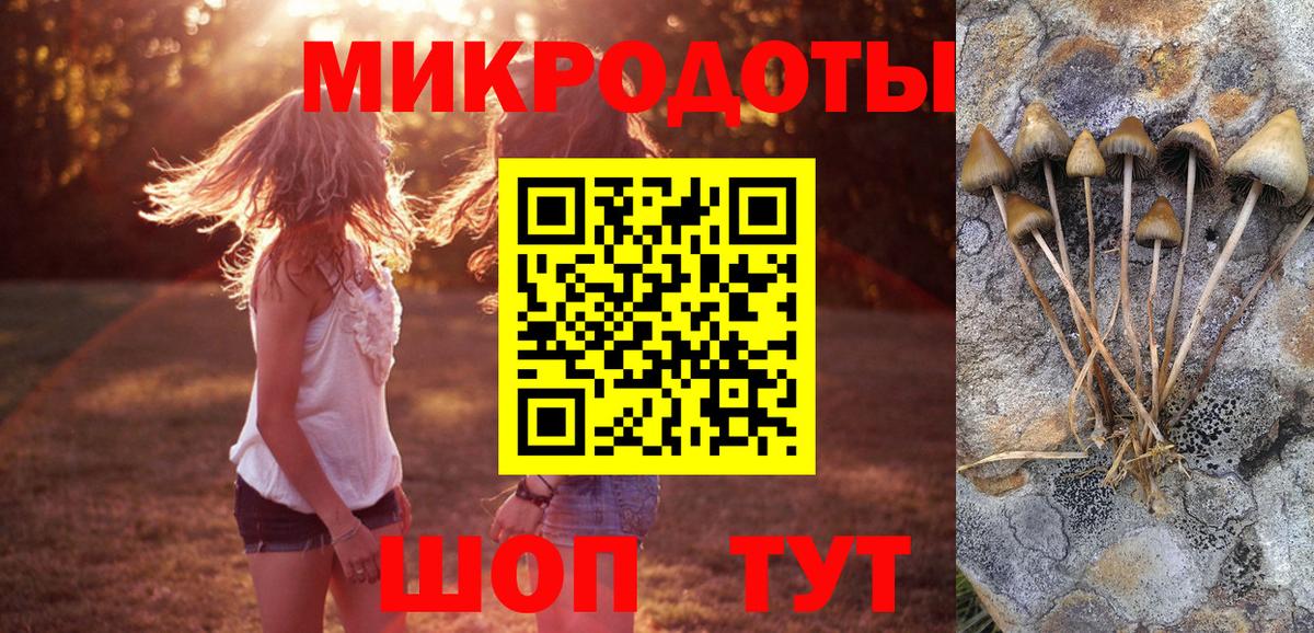 Новокубанск  Галлюциногенные грибы мухоморы  Вход с VPN  Галлюциногенные грибы Psilocybe 