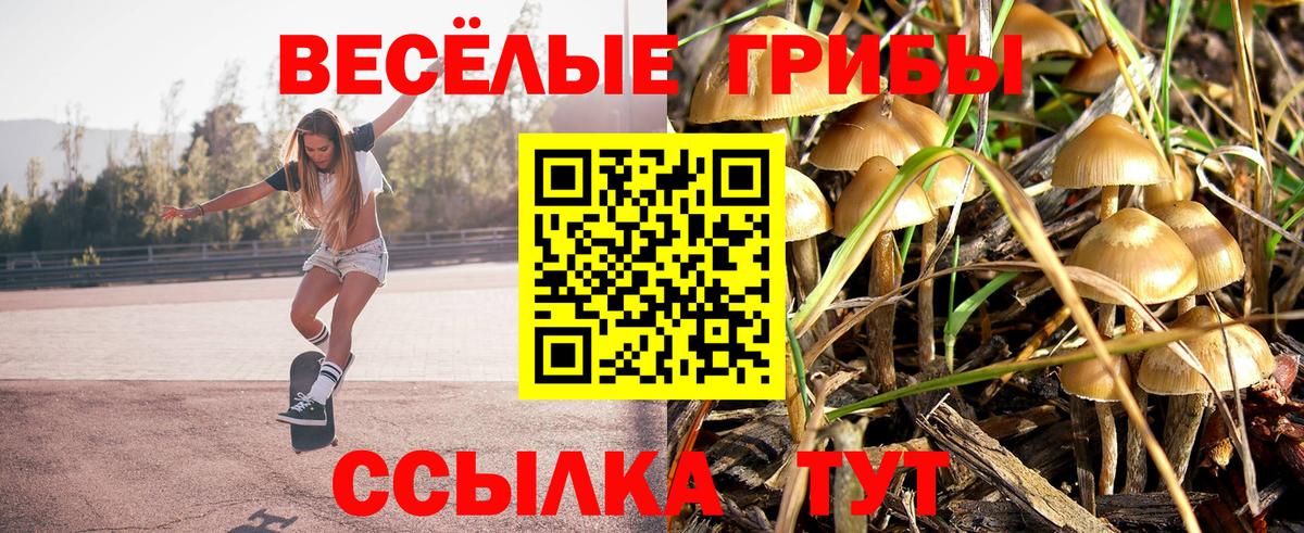 Галлюциногенные грибы MAGIC MUSHROOMS Новокубанск